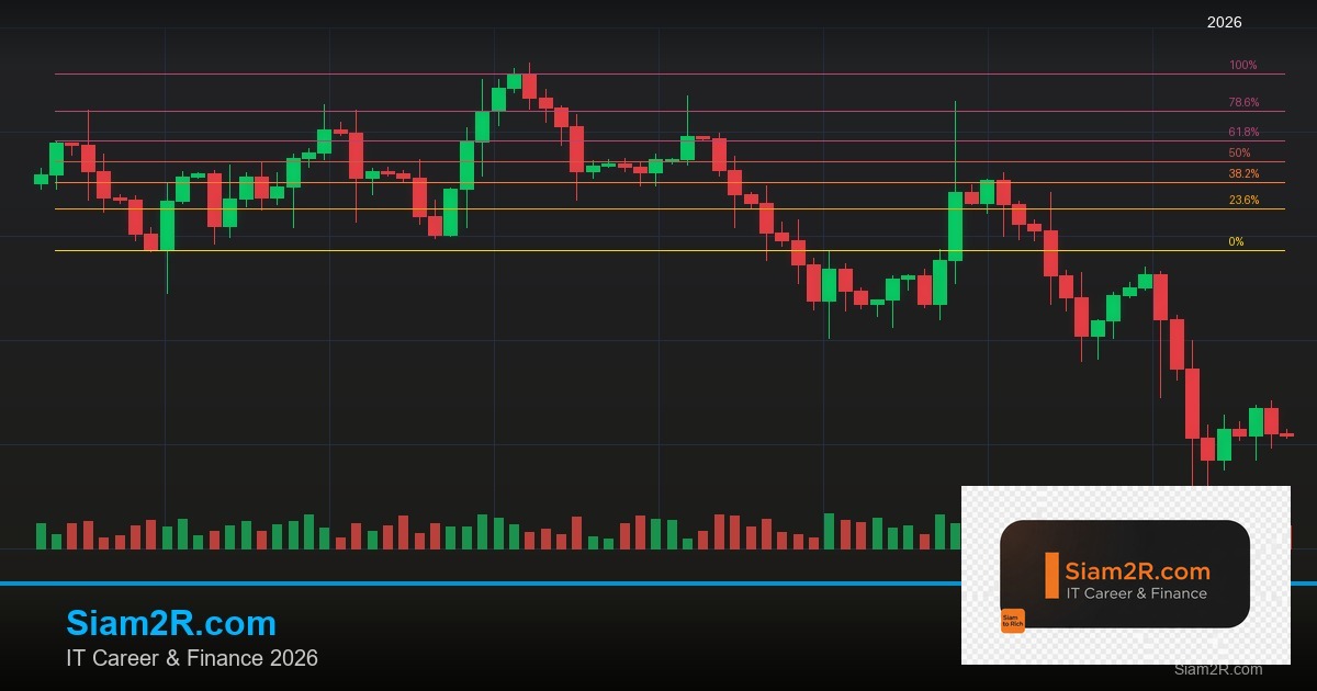 VPS สำหรับ EA Forex เลือกยังไง ติดตั้งยังไง คู่มือครบจบ