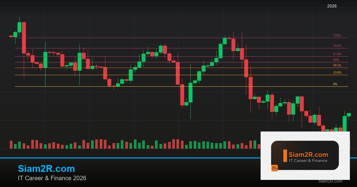 หุ้นมือใหม่ เริ่มลงทุนหุ้นไทยอย่างปลอดภัย รอบ 230