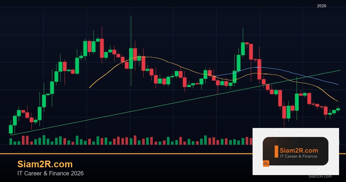 ลดภาษี Freelance เทคนิคประหยัดภาษี รอบ 204