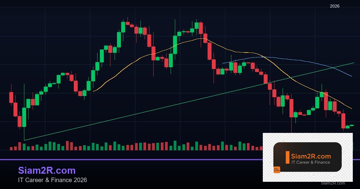 หุ้นมือใหม่ เริ่มลงทุนหุ้นไทยอย่างปลอดภัย รอบ 322