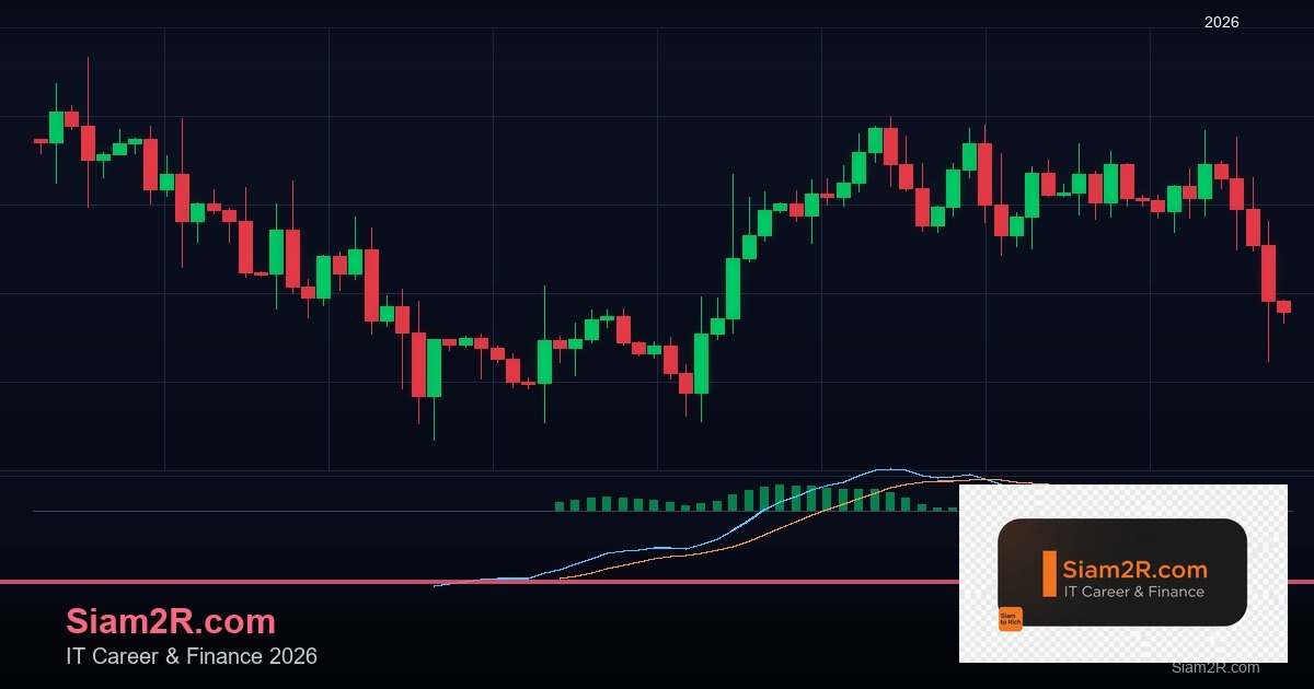ลดภาษี Freelance เทคนิคประหยัดภาษี รอบ 295