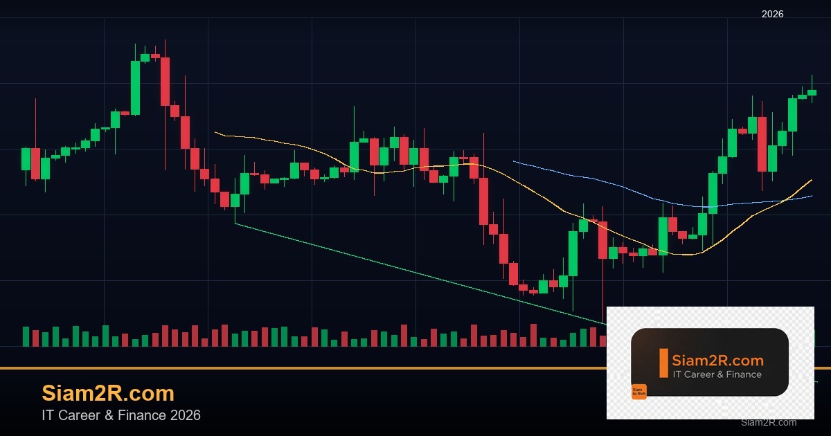 เส้นทาง Data Scientist ไทย 2026 ต้องเรียนอะไร