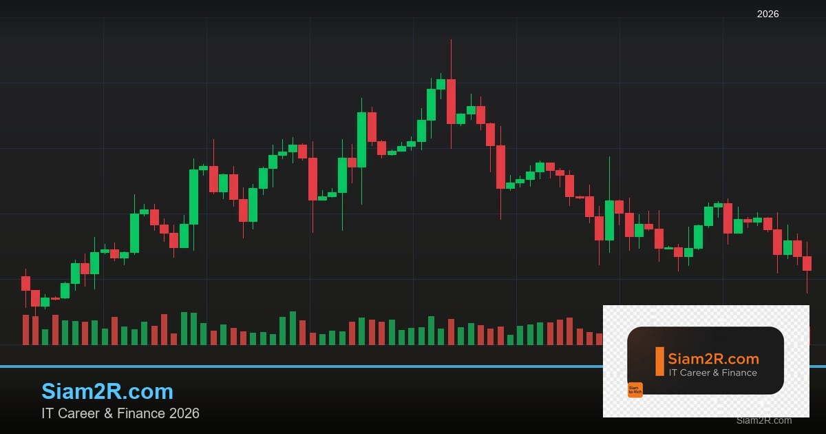 หุ้นมือใหม่ เริ่มลงทุนหุ้นไทยอย่างปลอดภัย รอบ 205