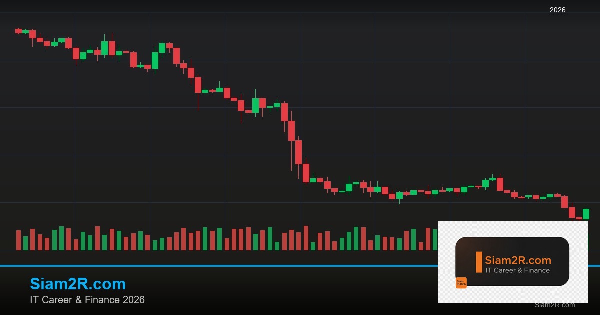 ลดภาษี Freelance เทคนิคประหยัดภาษี รอบ 117