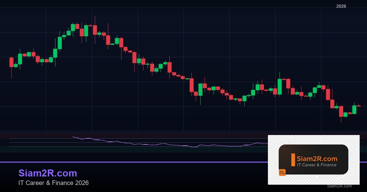 ลดภาษี Freelance เทคนิคประหยัดภาษี รอบ 299