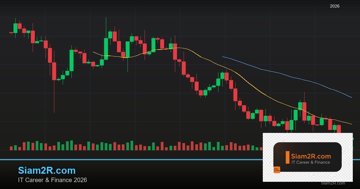 พันธบัตรรัฐบาลไทย วิเคราะห์โอกาสการลงทุน รอบ 313
