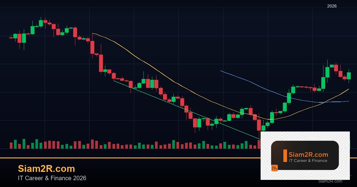 ลดภาษี Freelance เทคนิคประหยัดภาษี รอบ 195