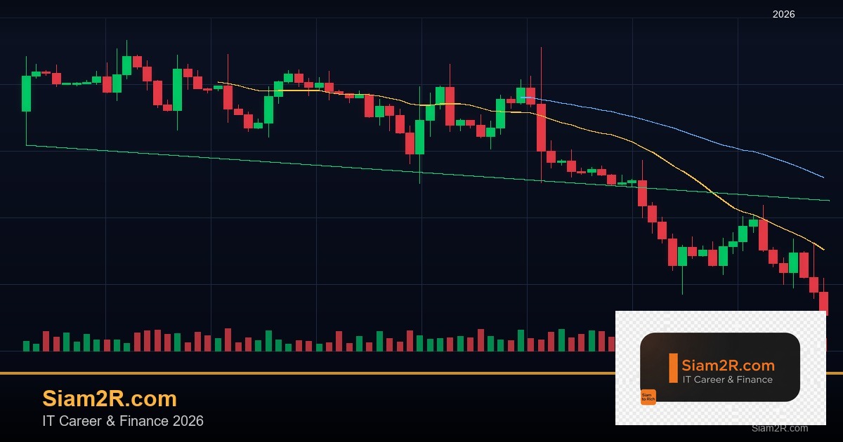 DevOps Career Path เงินเดือนและทักษะ รอบ 278