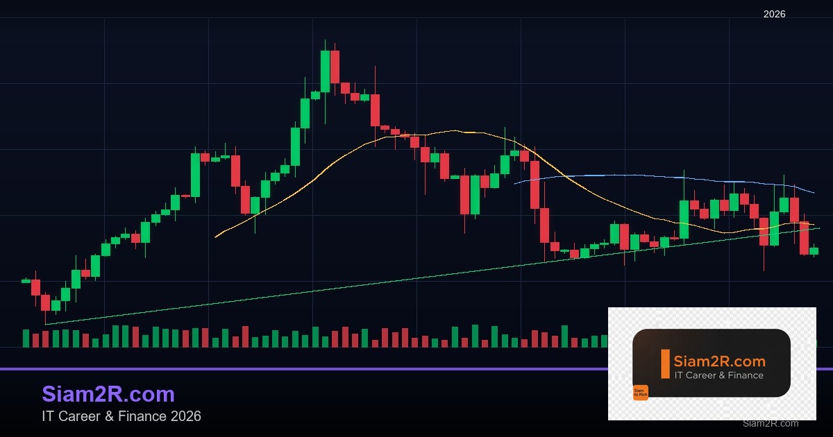 DevOps Career Path เงินเดือนและทักษะ รอบ 257