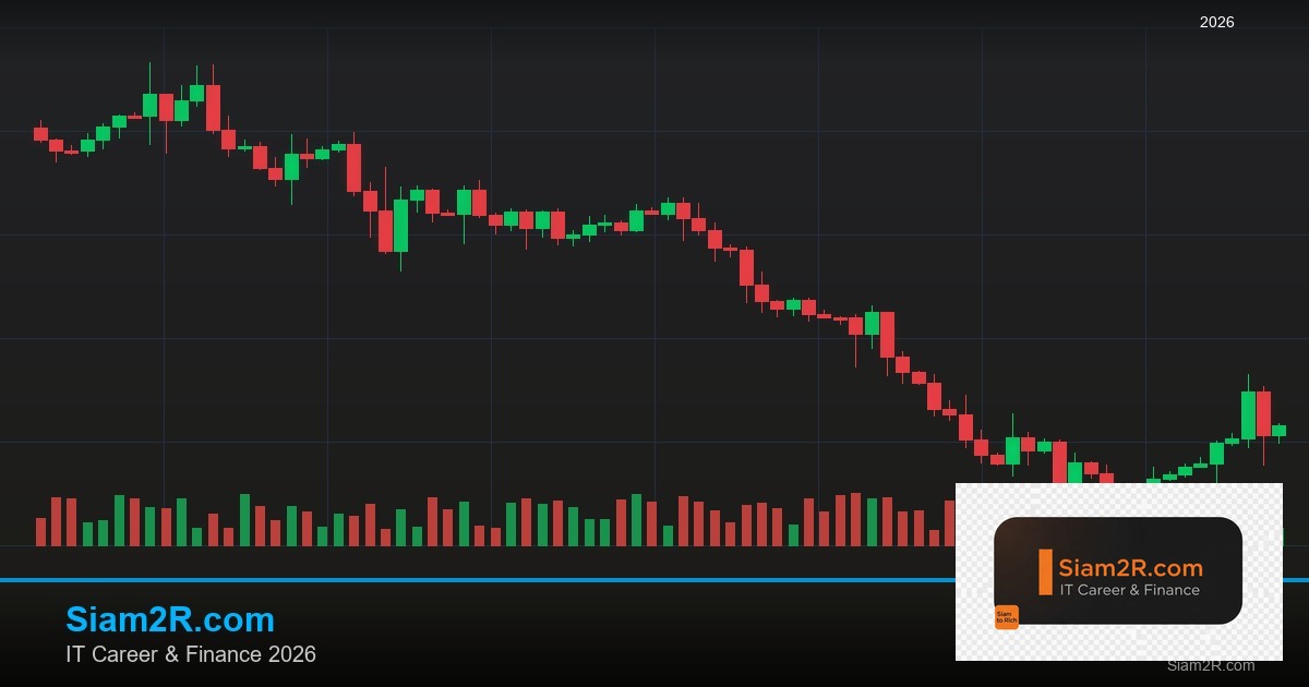 ลดภาษี Freelance เทคนิคประหยัดภาษี รอบ 331