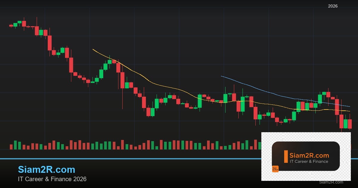 ประกันสุขภาพ 2568: เปรียบเทียบแผนประกันจากทุกบริษัท