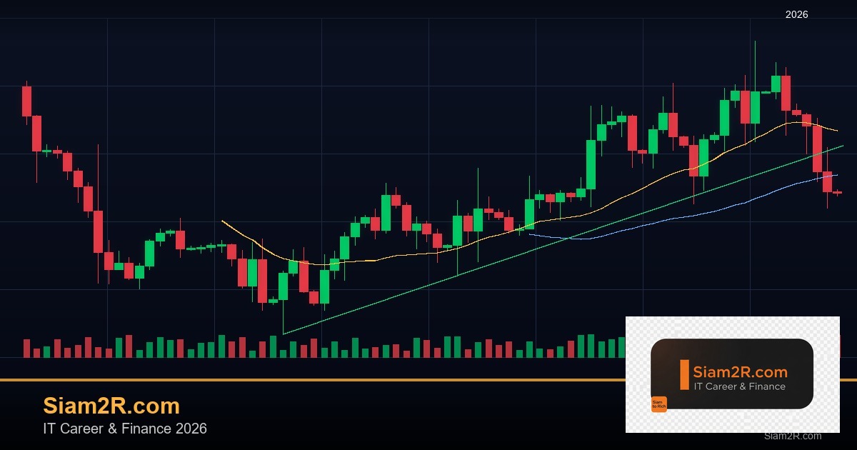 หุ้นมือใหม่ เริ่มลงทุนหุ้นไทยอย่างปลอดภัย รอบ 113