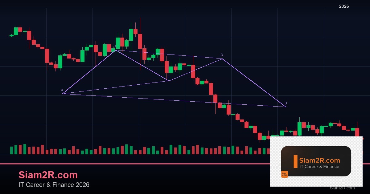 DevOps Career Path เงินเดือนและทักษะ รอบ 125