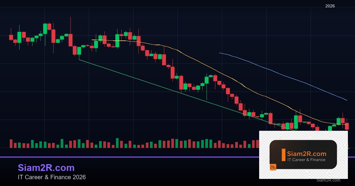 Supply and Demand Zone: วิธีหา Zone และเทรดอย่างมืออาชีพ