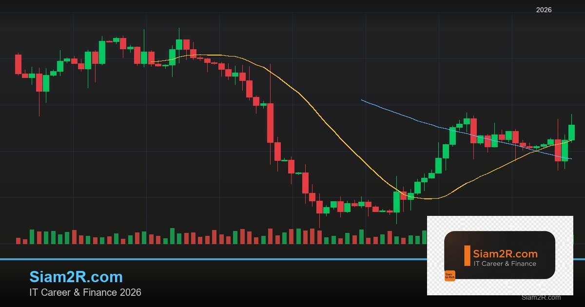 ลดภาษี Freelance เทคนิคประหยัดภาษี รอบ 19