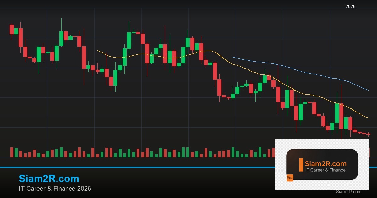 Data Engineer vs Data Scientist คู่มือฉบับสมบูรณ์