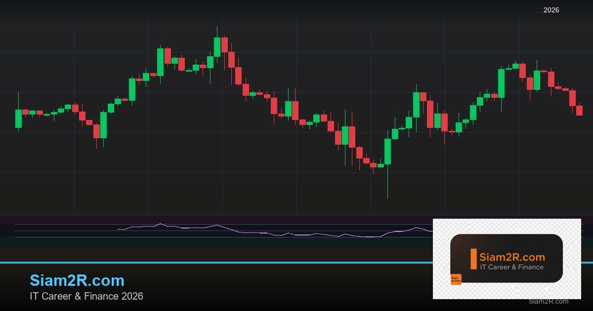 หุ้นมือใหม่ เริ่มลงทุนหุ้นไทยอย่างปลอดภัย รอบ 317