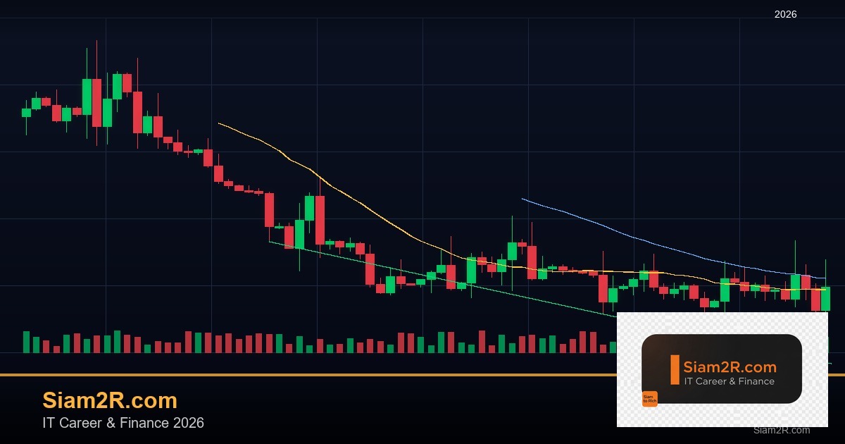 ลดภาษี Freelance เทคนิคประหยัดภาษี รอบ 226