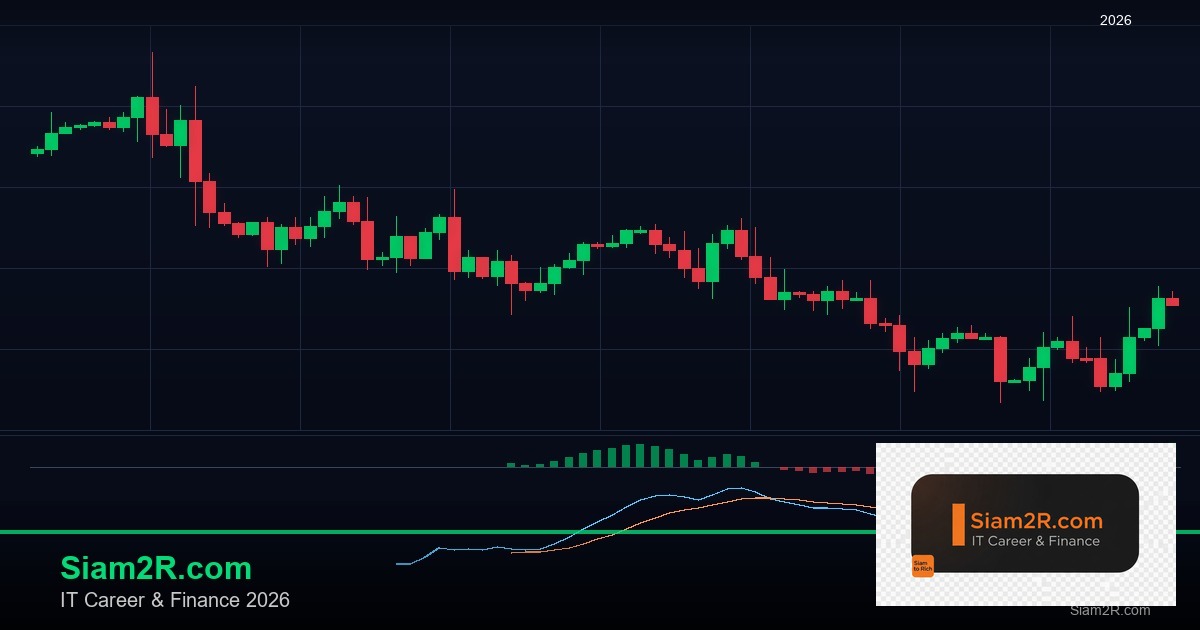 ลดภาษี Freelance เทคนิคประหยัดภาษี รอบ 115