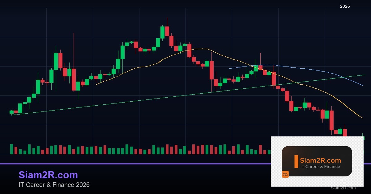 Swap Rate Forex คืออะไร คิดยังไง คู่มือครบถ้วน