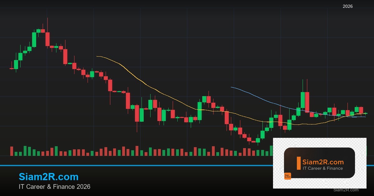 ลดภาษี Freelance เทคนิคประหยัดภาษี รอบ 166