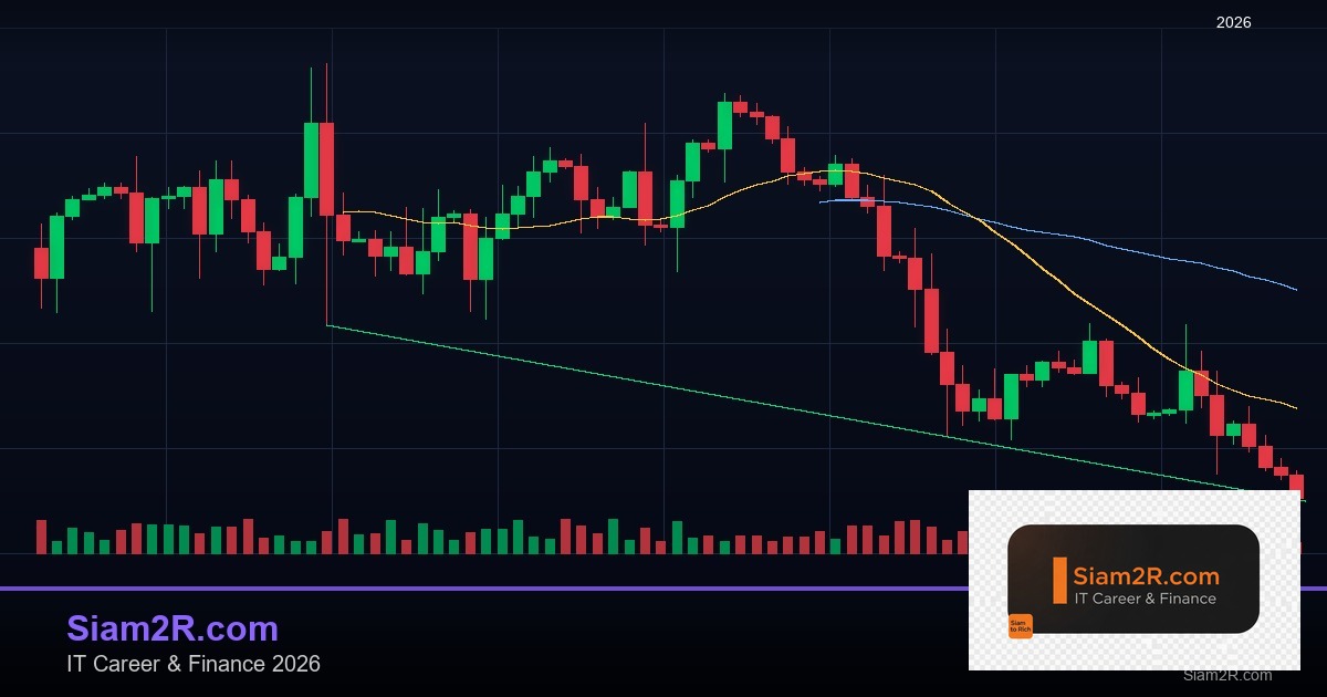 หุ้นมือใหม่ เริ่มลงทุนหุ้นไทยอย่างปลอดภัย รอบ 301