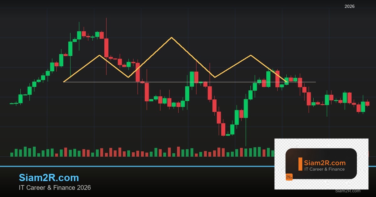 ลดภาษี Freelance เทคนิคประหยัดภาษี รอบ 271