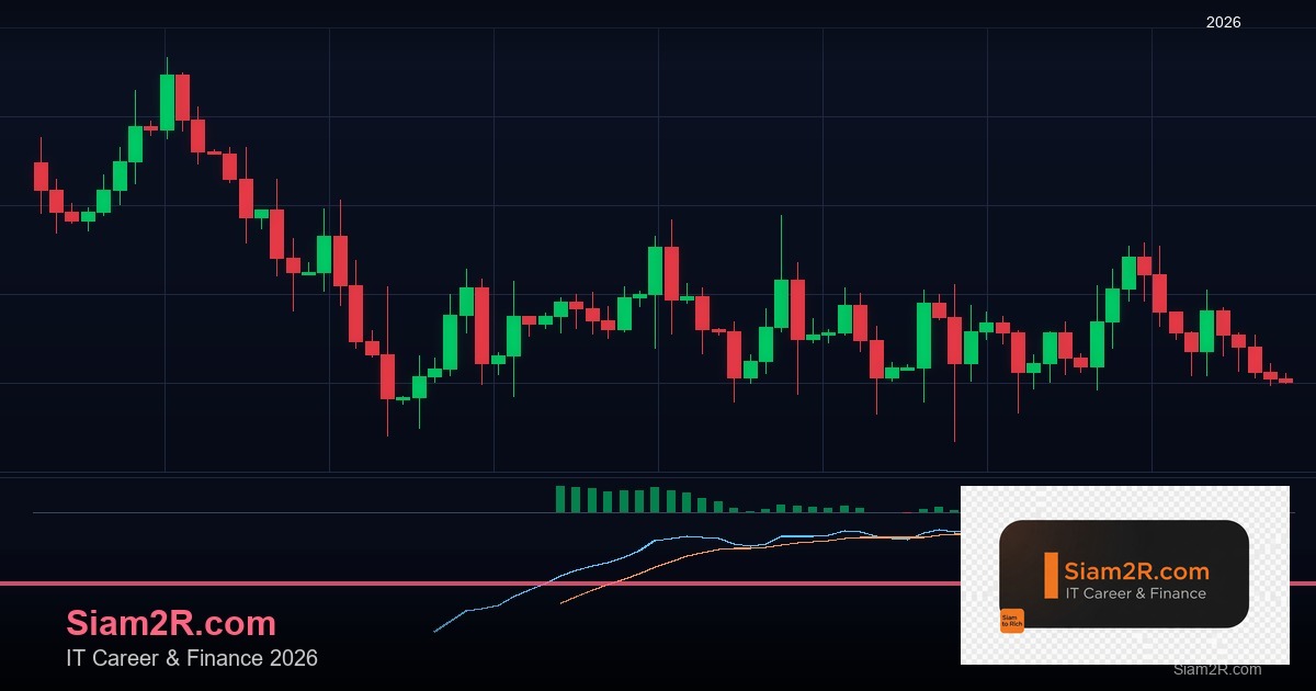 Leverage คืออะไร ใช้อย่างไรไม่ให้ล้างพอร์ต คู่มือฉบับสมบูรณ์