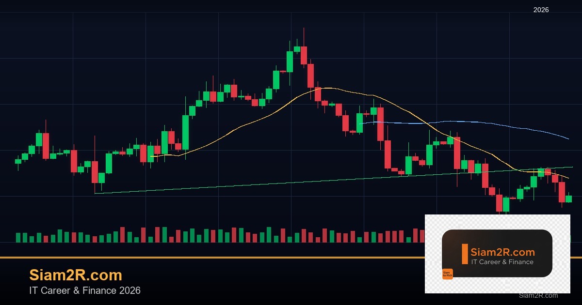 ลดภาษี Freelance เทคนิคประหยัดภาษี รอบ 270