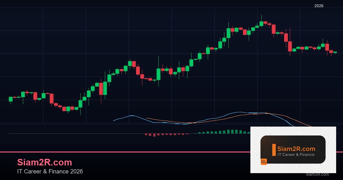 DevOps Career Path เงินเดือนและทักษะ รอบ 256