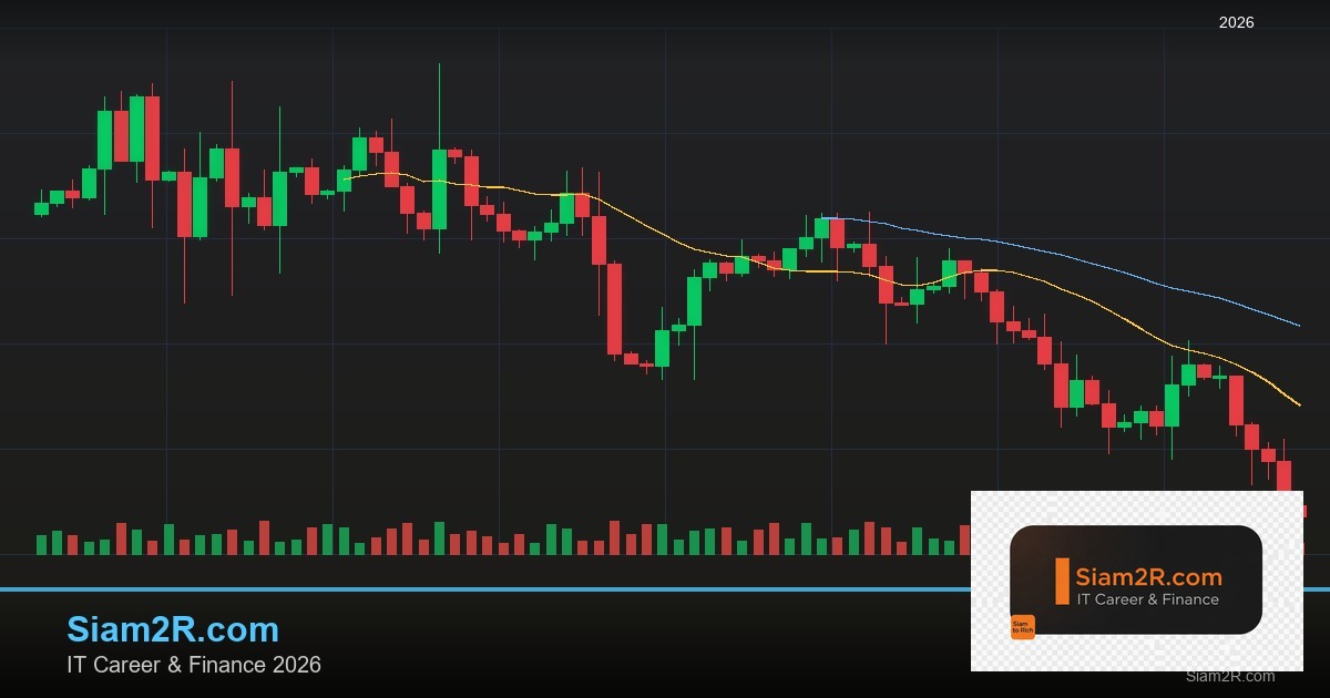 ลดภาษี Freelance เทคนิคประหยัดภาษี รอบ 328