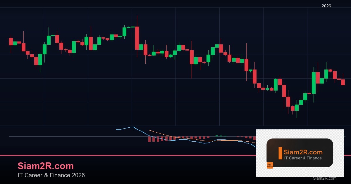 ลดภาษี Freelance เทคนิคประหยัดภาษี รอบ 234