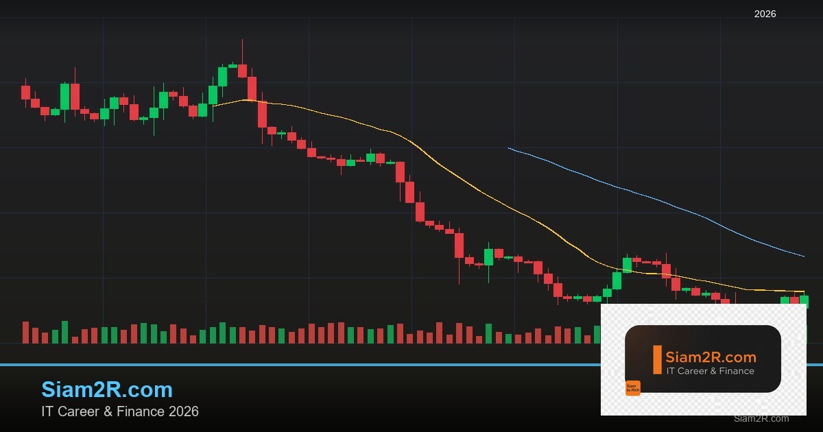 NFT ยังน่าลงทุนไหม 2026: สถานะตลาดและโอกาสที่เหลือ