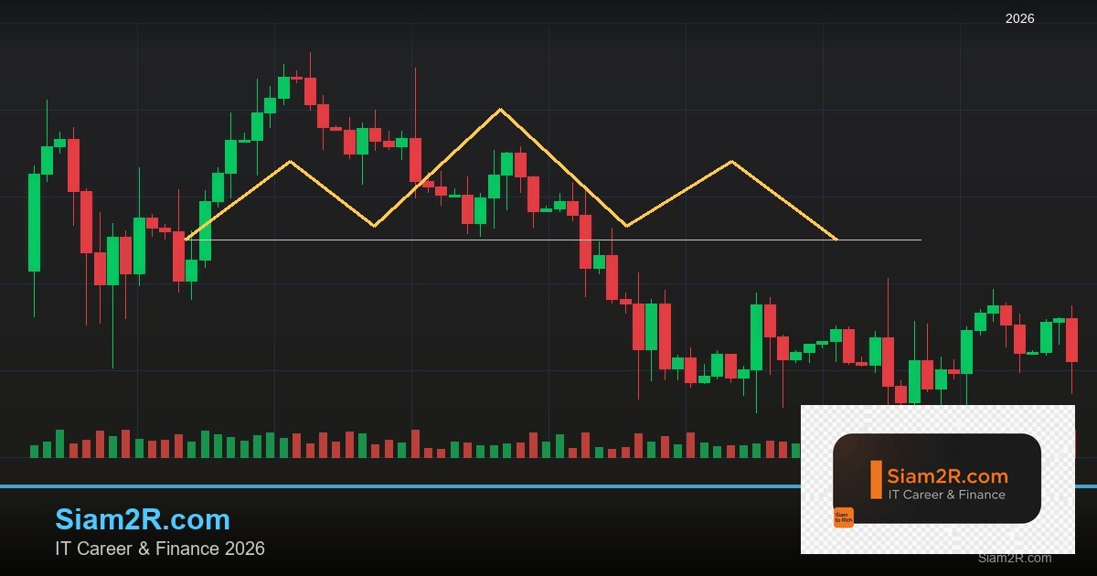 ลดภาษี Freelance เทคนิคประหยัดภาษี รอบ 17