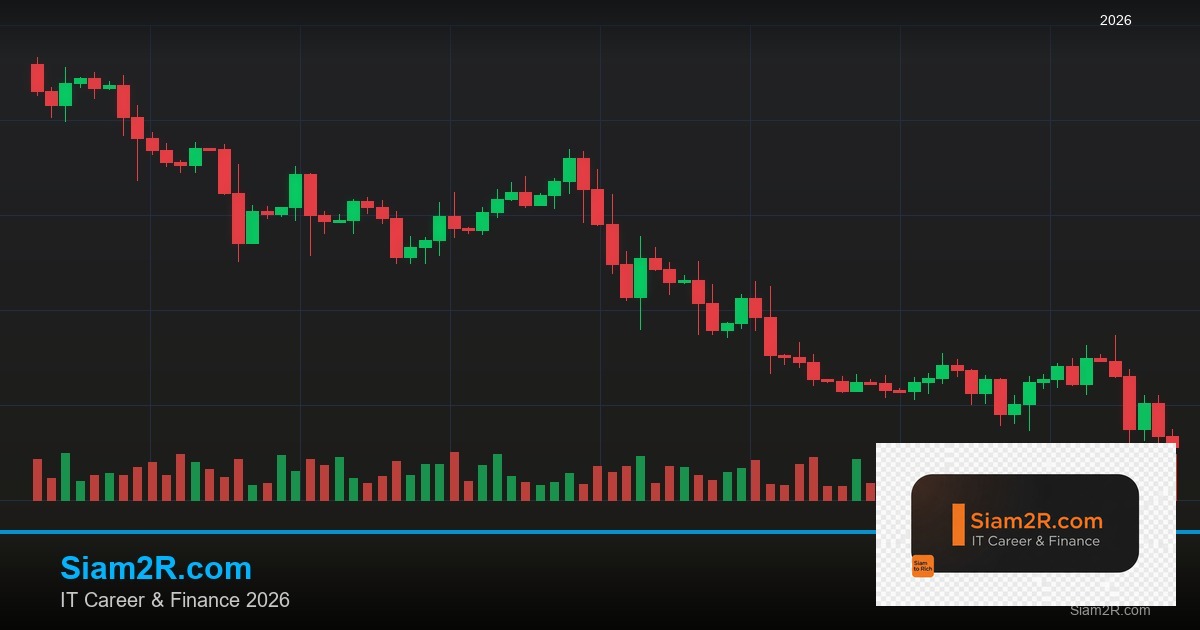 ลดภาษี Freelance เทคนิคประหยัดภาษี รอบ 98