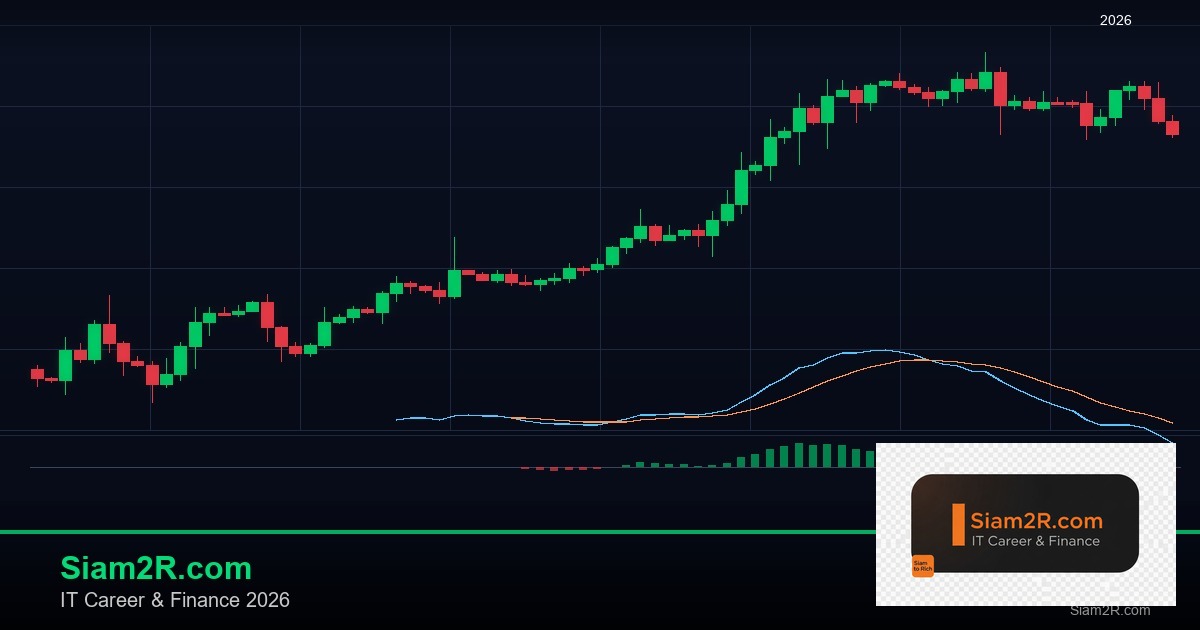 ลดภาษี Freelance เทคนิคประหยัดภาษี รอบ 47