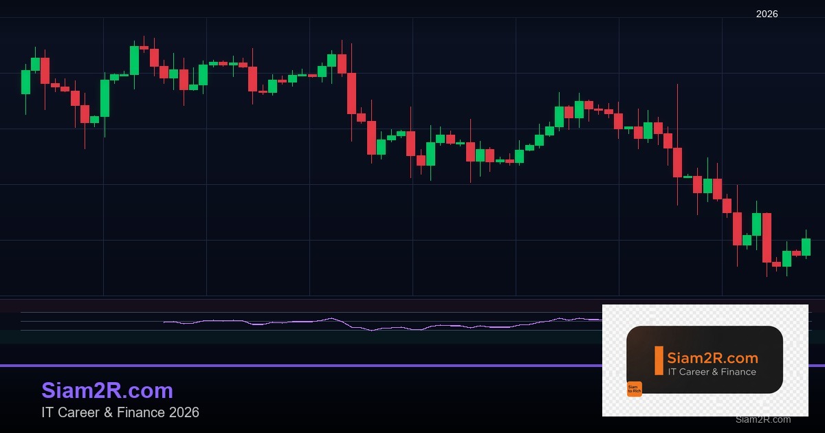 ลดภาษี Freelance เทคนิคประหยัดภาษี รอบ 102