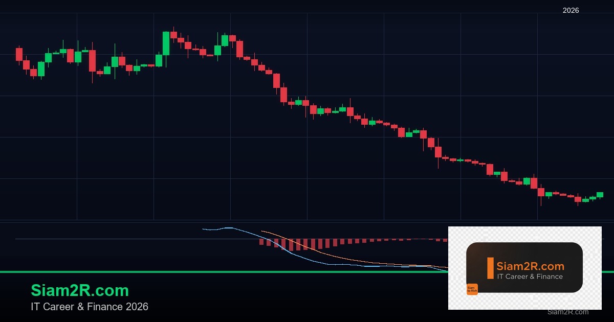 ลดภาษี Freelance เทคนิคประหยัดภาษี รอบ 211