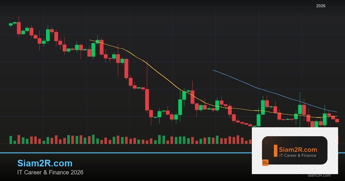 Forex Curve Fitting กับดักปรับเกินพอดี 2569