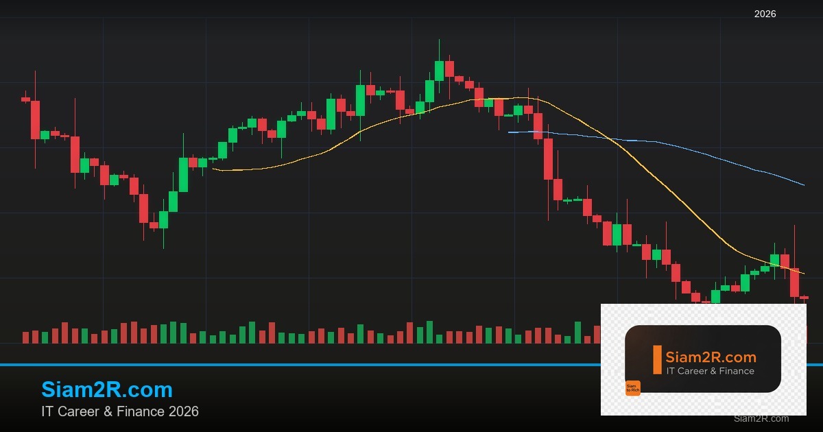 หุ้นมือใหม่ เริ่มลงทุนหุ้นไทยอย่างปลอดภัย รอบ 292