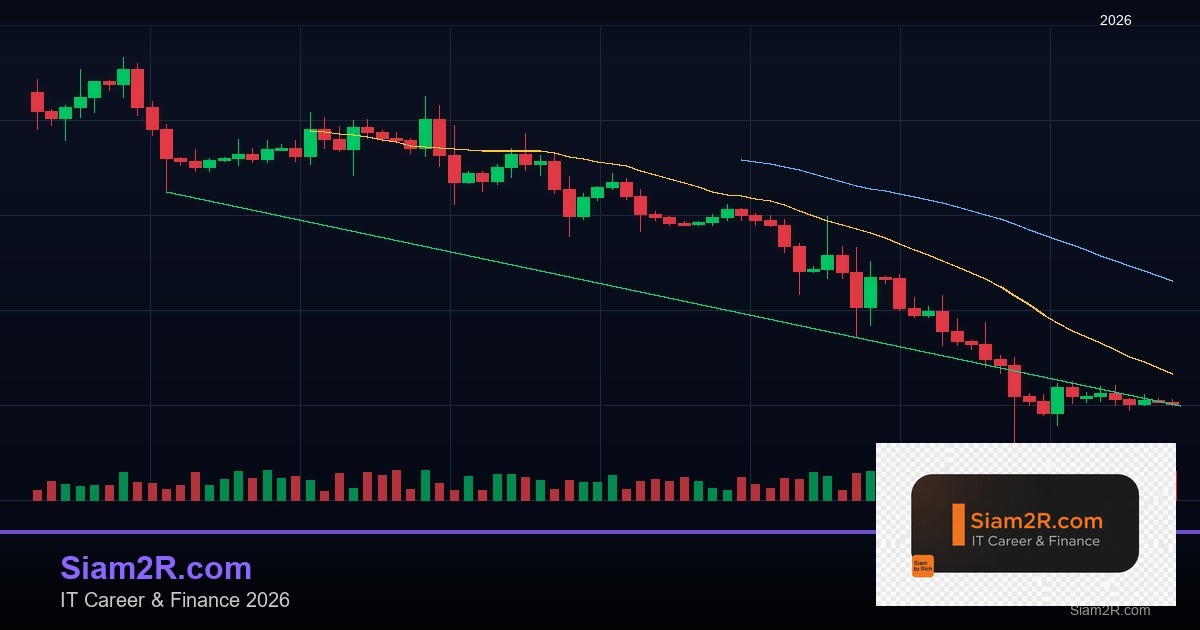 ลดภาษี Freelance เทคนิคประหยัดภาษี รอบ 128