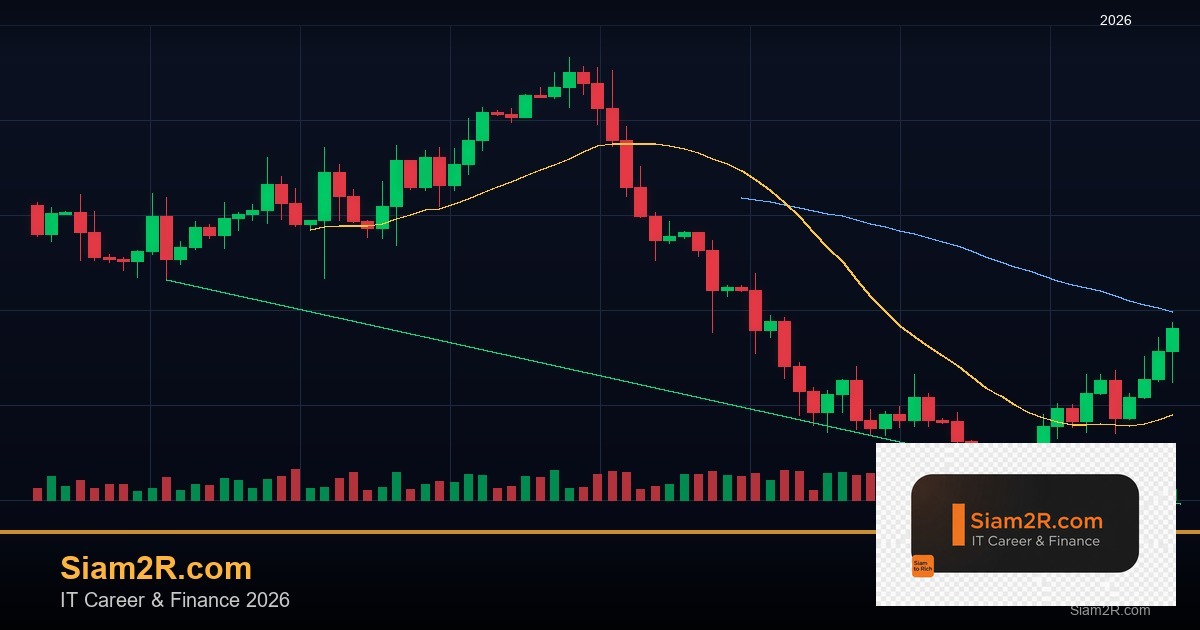 ลดภาษี Freelance เทคนิคประหยัดภาษี รอบ 167