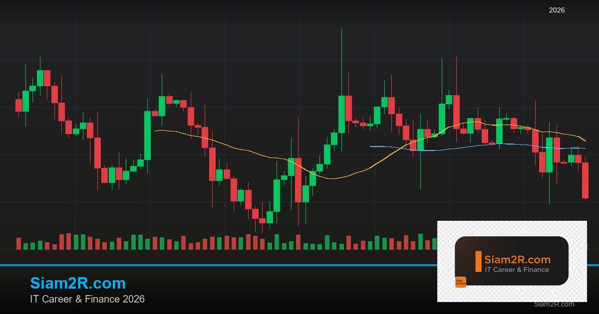 Forex Indicator ยอดนิยม 5 ตัวที่มือใหม่ต้องรู้ 2569