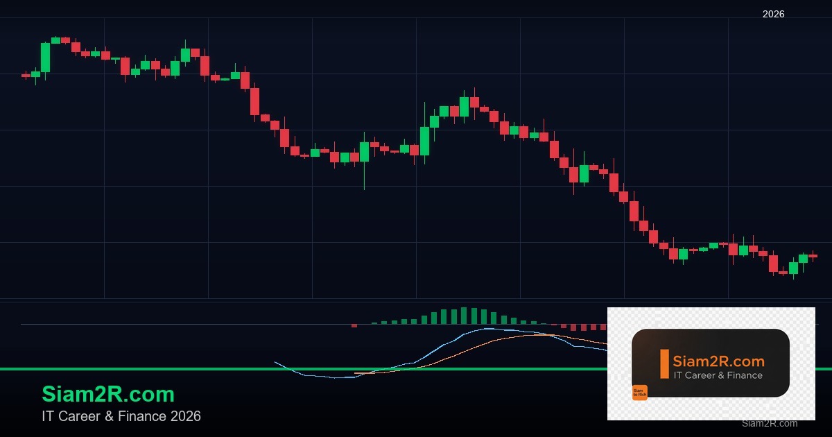 Forex Leverage 1:100 vs 1:500: เลือก Leverage เท่าไหร่ดีที่สุด
