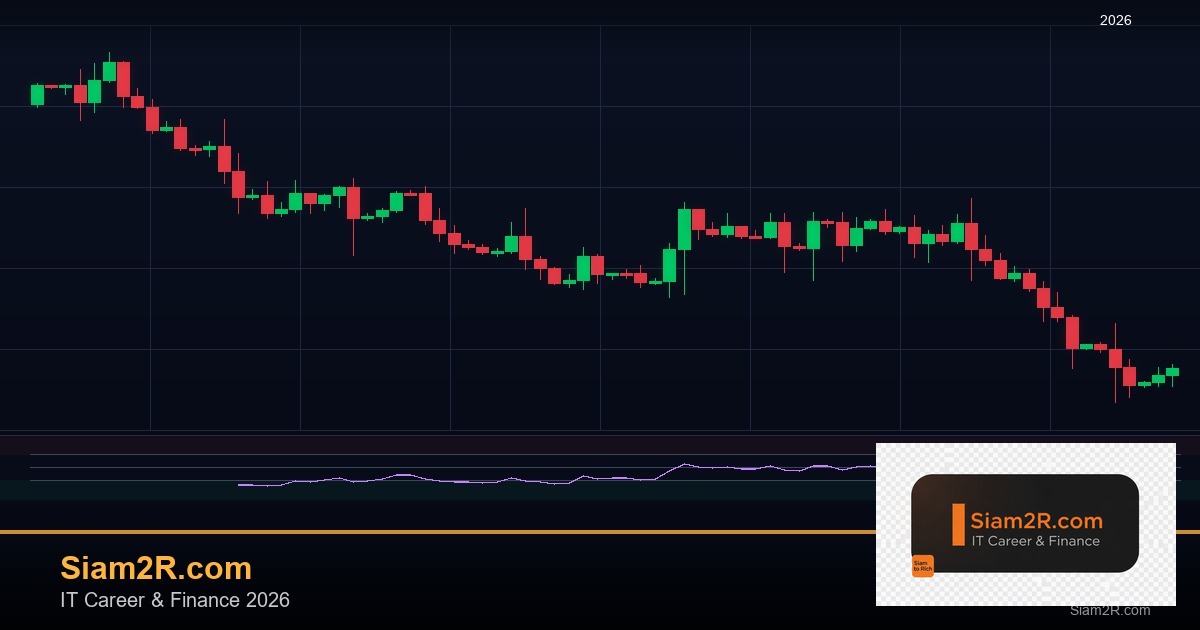 ลดภาษี Freelance เทคนิคประหยัดภาษี รอบ 246