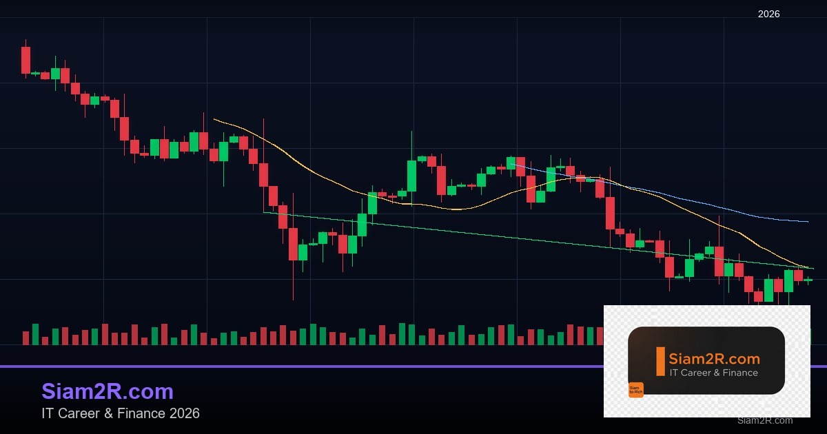 วิธีเลือกกองทุน SSF RMF ลดหย่อนภาษี 2026