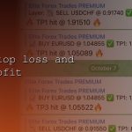 Stop Loss คืออะไร วิธีตั้ง SL ที่ถูกต้องไม่โดนกวาด