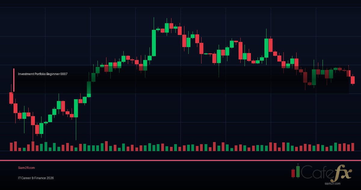 จัดพอร์ตลงทุนยังไงให้เหมาะกับคน IT