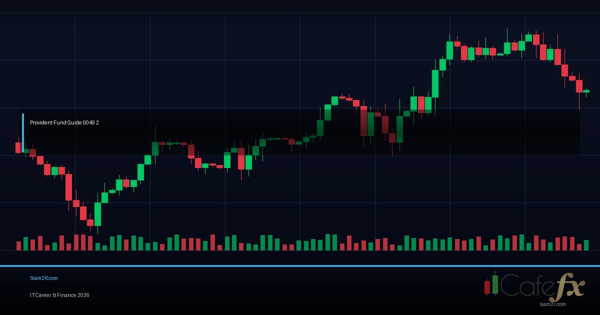 Provident Fund ดียังไง คน IT ควรเลือกแผนไหน