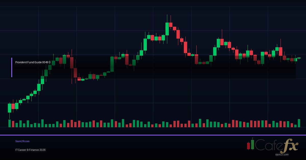 กองทุนสำรองเลี้ยงชีพ เลือกแผนลงทุนยังไงให้ได้เงินเยอะ